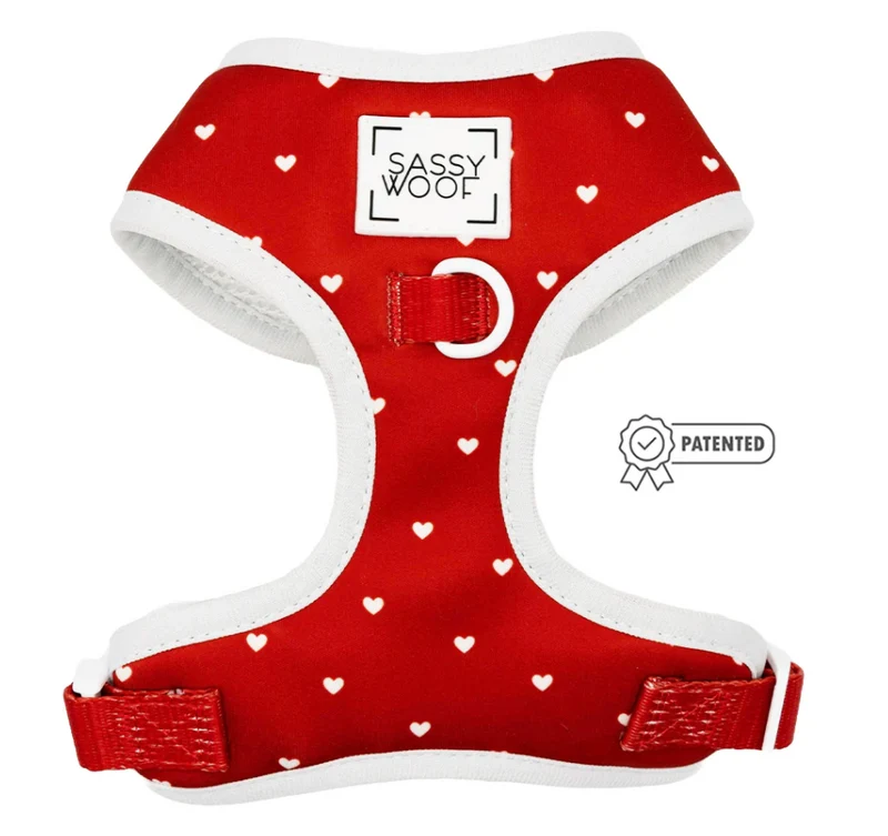 Little Love Harness