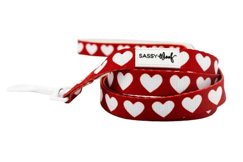 Little Love Leash