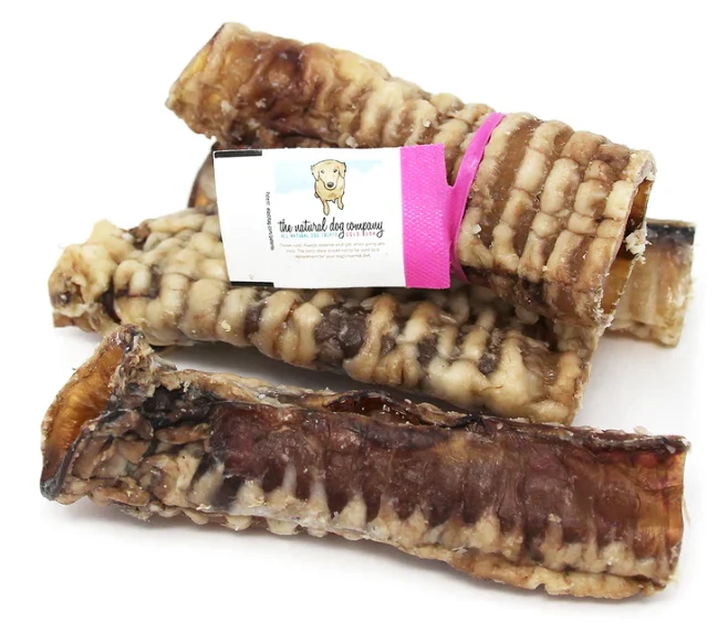 Tuesday's Trachea