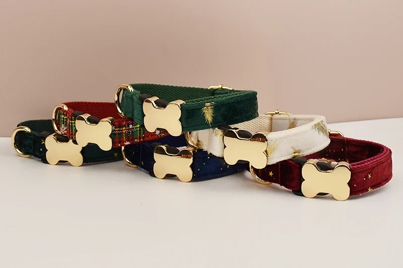 Personalisiertes Samt-Hundehalsband mit Gravur & Stil