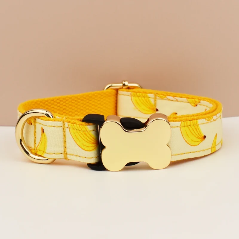 Personalisiertes Samt-Hundehalsband mit Gravur & Stil