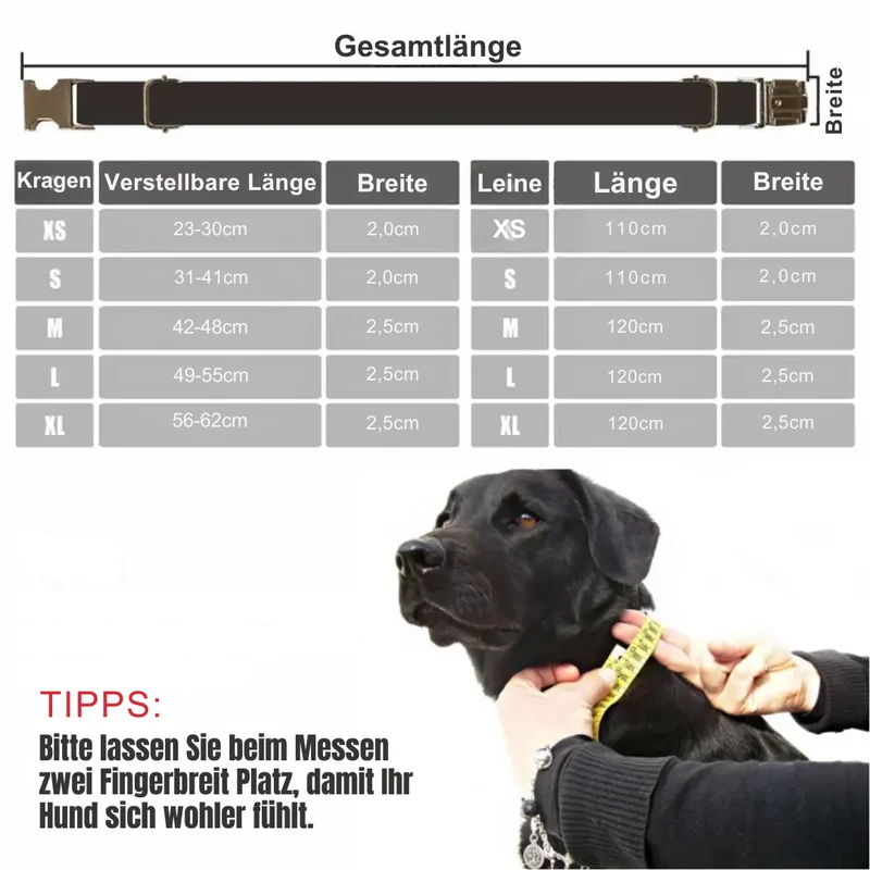 Personalisiertes Hundehalsband aus Edelstahl mit Gravur