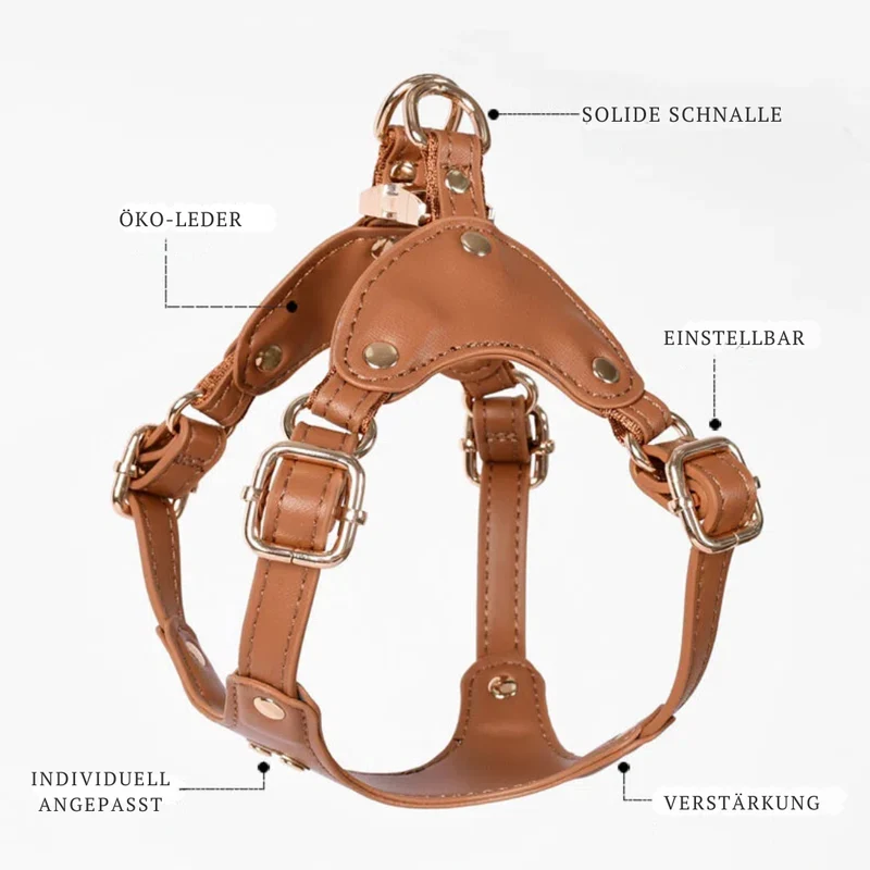 Verstellbares Leder-Hundegeschirr mit individueller Gravur