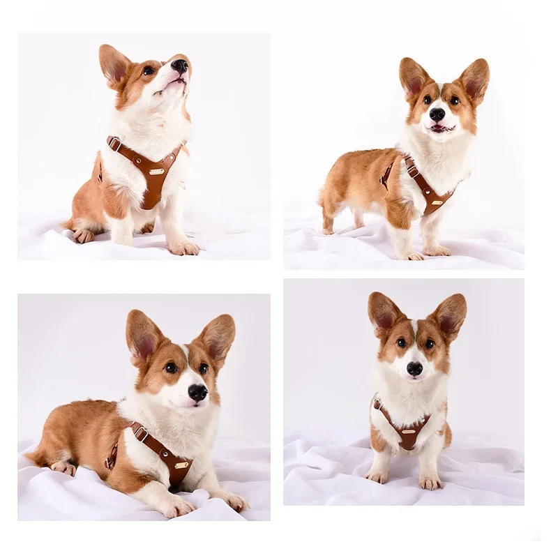 Verstellbares Leder-Hundegeschirr mit individueller Gravur