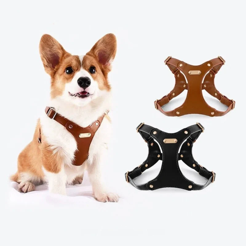 Verstellbares Leder-Hundegeschirr mit individueller Gravur