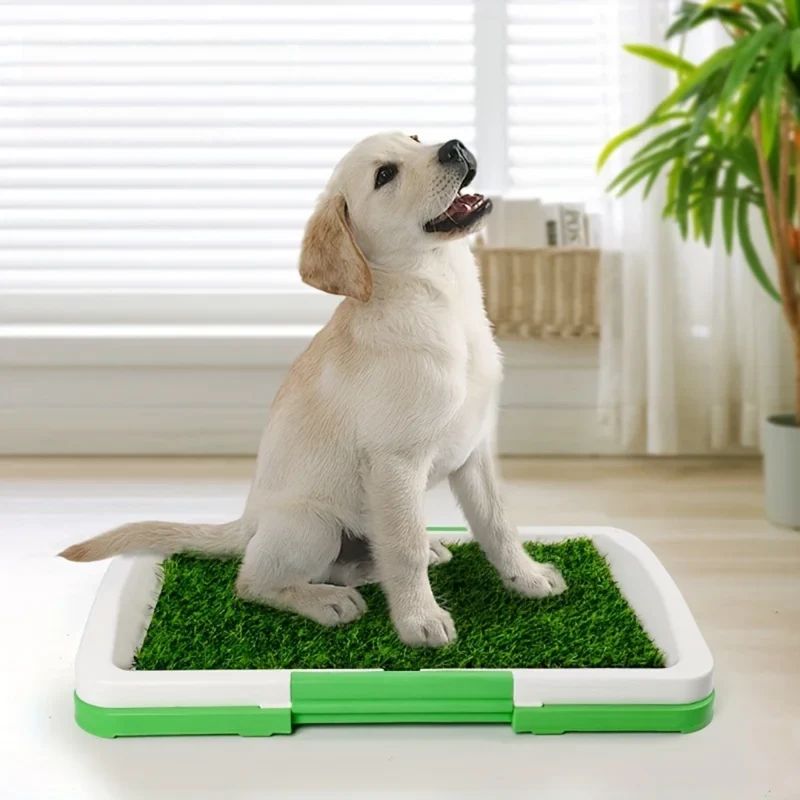 Hundetoilette mit Kunstrasen hygienisch & stabil