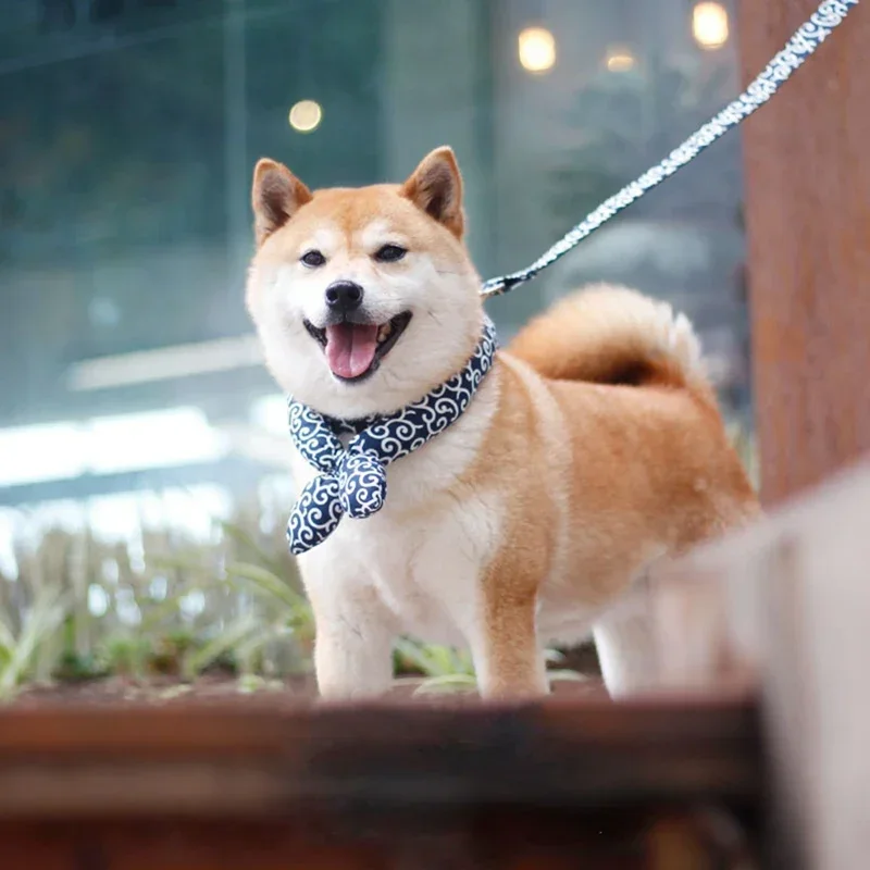 Kühlbandana für Hunde atmungsaktiv & leicht