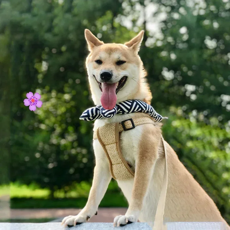 Kühlbandana für Hunde atmungsaktiv & leicht