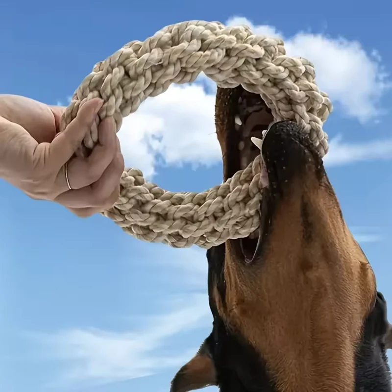Robuster Baumwoll Kau-Ring für Hunde