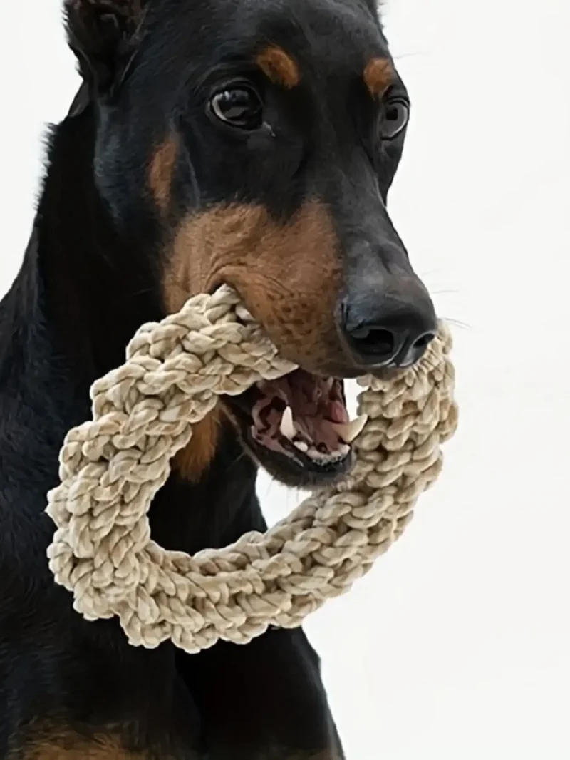 Robuster Baumwoll Kau-Ring für Hunde