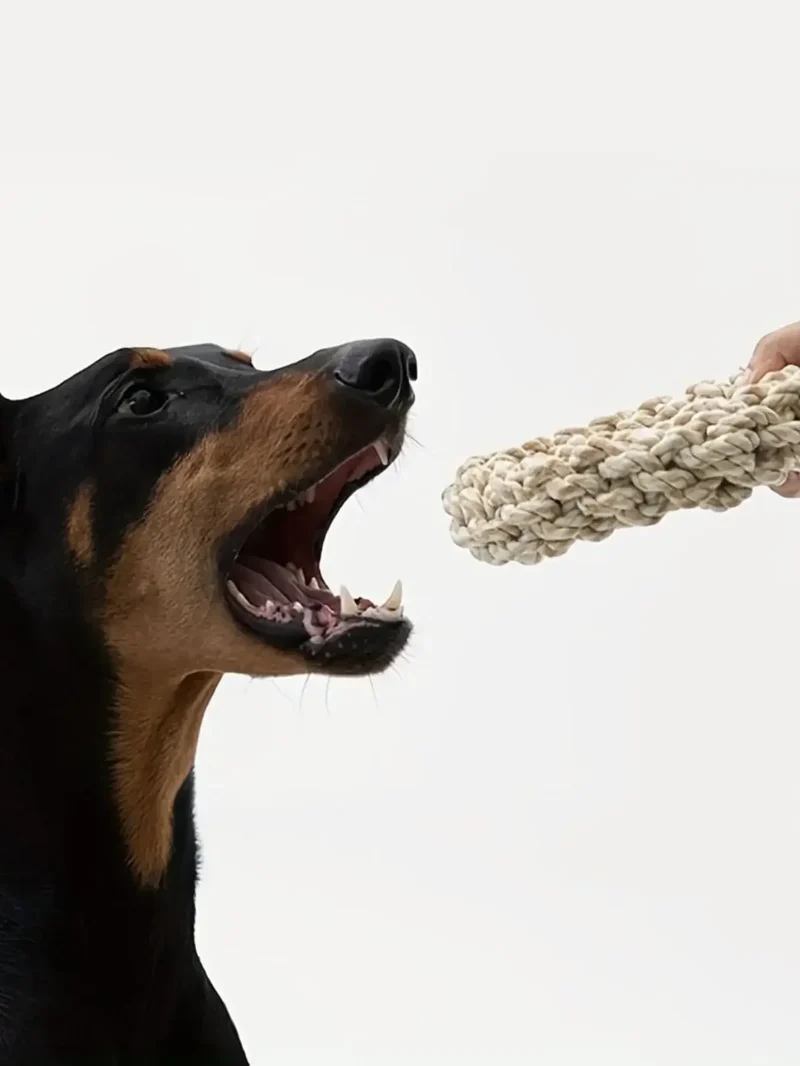 Robuster Baumwoll Kau-Ring für Hunde