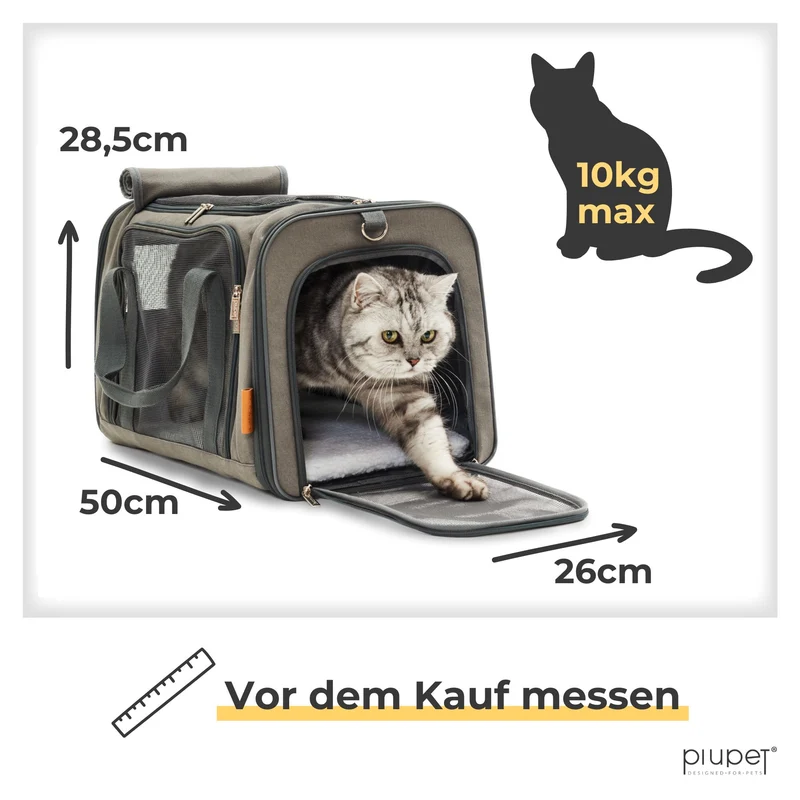 Transportbox "LOTTA"
