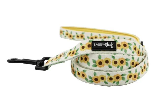 Sunflower Dreams Leash