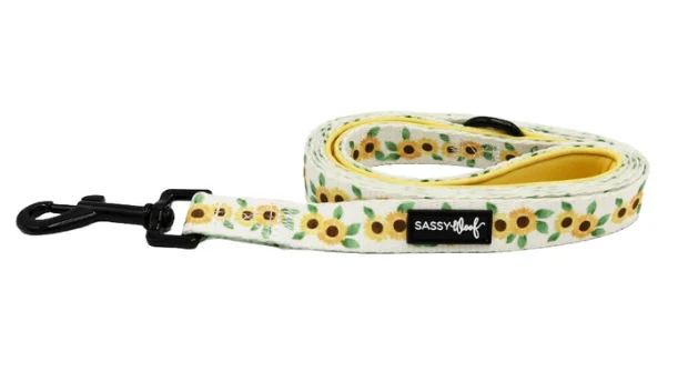 Sunflower Dreams Leash