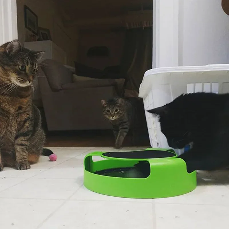 Interaktives Katzenspielzeug mit Drehmaus & Kratzfläche