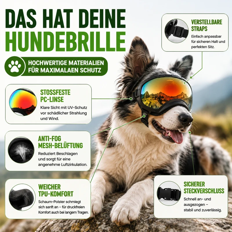 Hundebrille mit UV-Schutz für kleine & große Hunde – winddicht, verstellbar & Anti-Fog