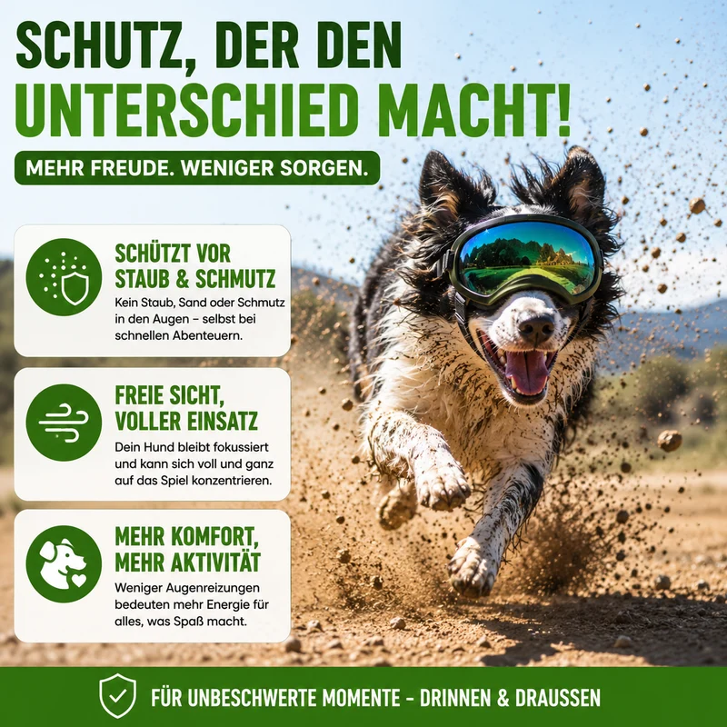 Hundebrille mit UV-Schutz für kleine & große Hunde – winddicht, verstellbar & Anti-Fog