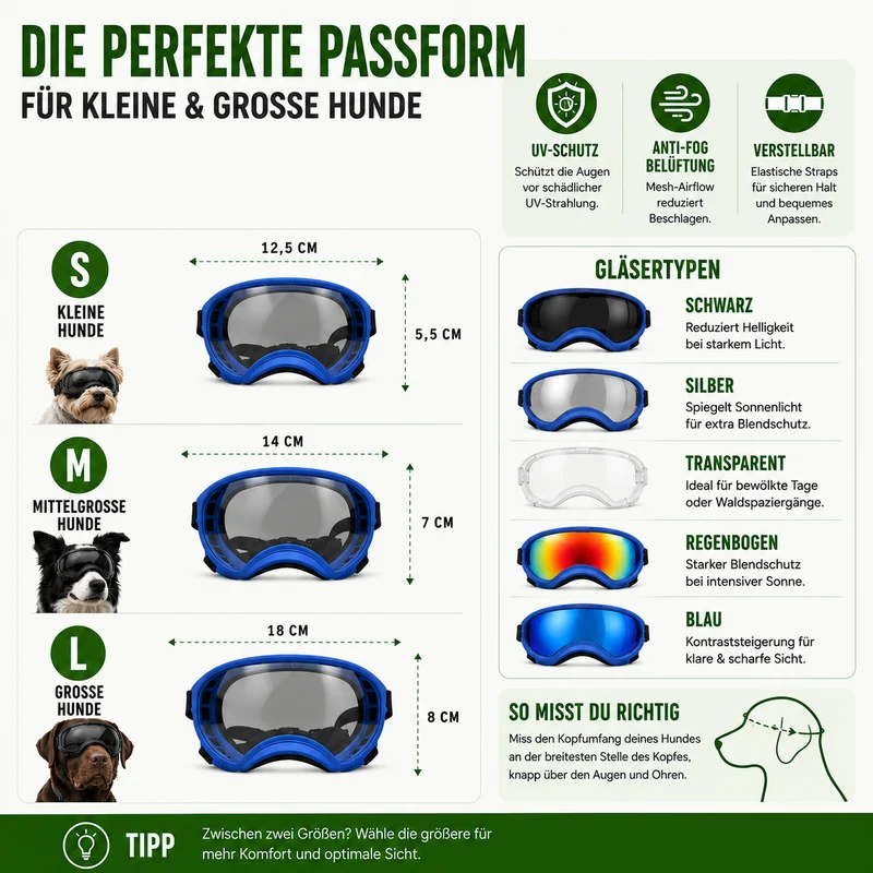 Hundebrille mit UV-Schutz für kleine & große Hunde – winddicht, verstellbar & Anti-Fog