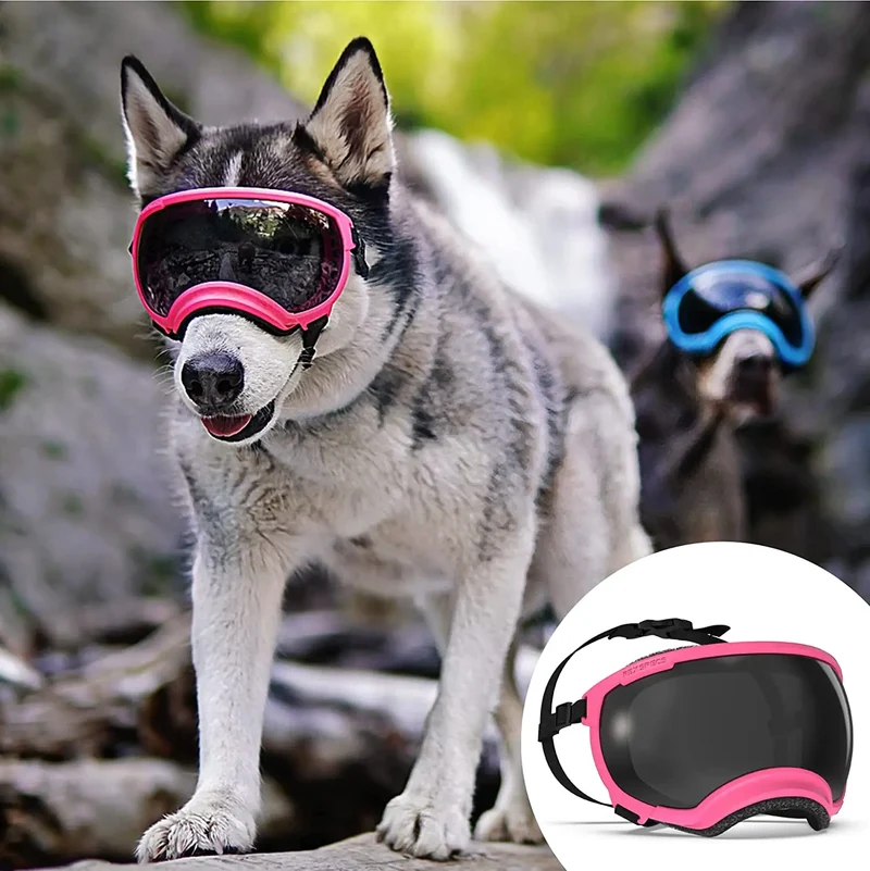 Hundebrille mit UV-Schutz für kleine & große Hunde – winddicht, verstellbar & Anti-Fog