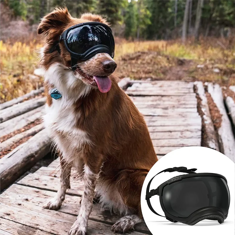 Hundebrille mit UV-Schutz für kleine & große Hunde – winddicht, verstellbar & Anti-Fog