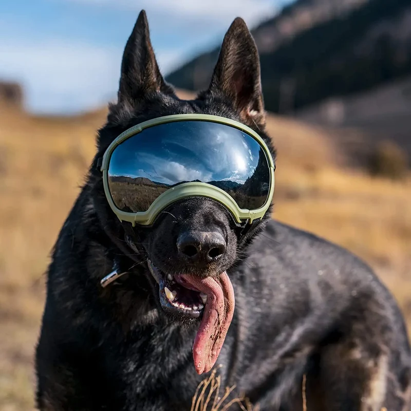 Hundebrille mit UV-Schutz für kleine & große Hunde – winddicht, verstellbar & Anti-Fog