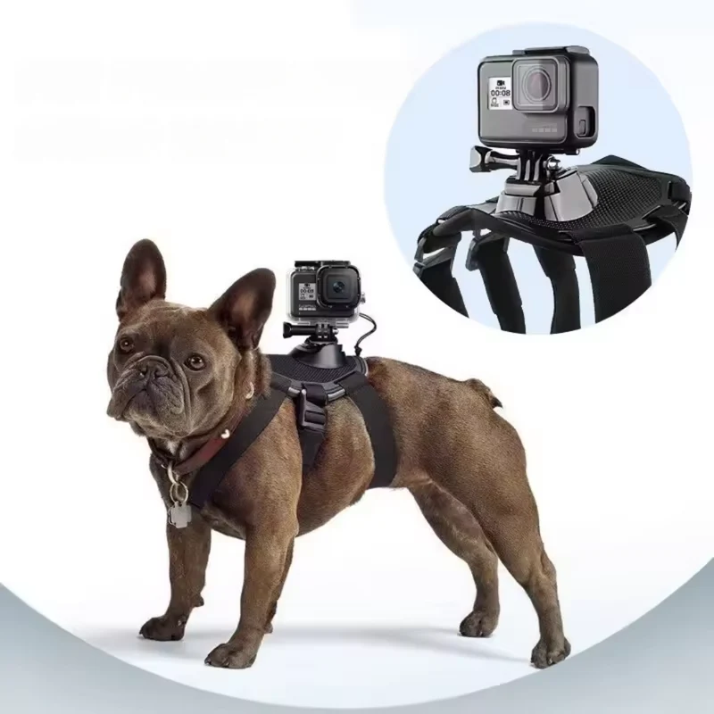 Action-Cam Hundegeschirr mit 360° Perspektive