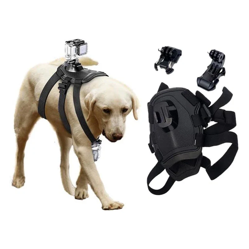 Action-Cam Hundegeschirr mit 360° Perspektive