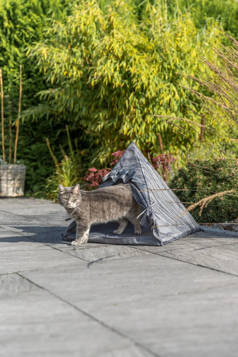 Outdoor Katzentipi Samoa mit Lüftungsgitter und Heringen