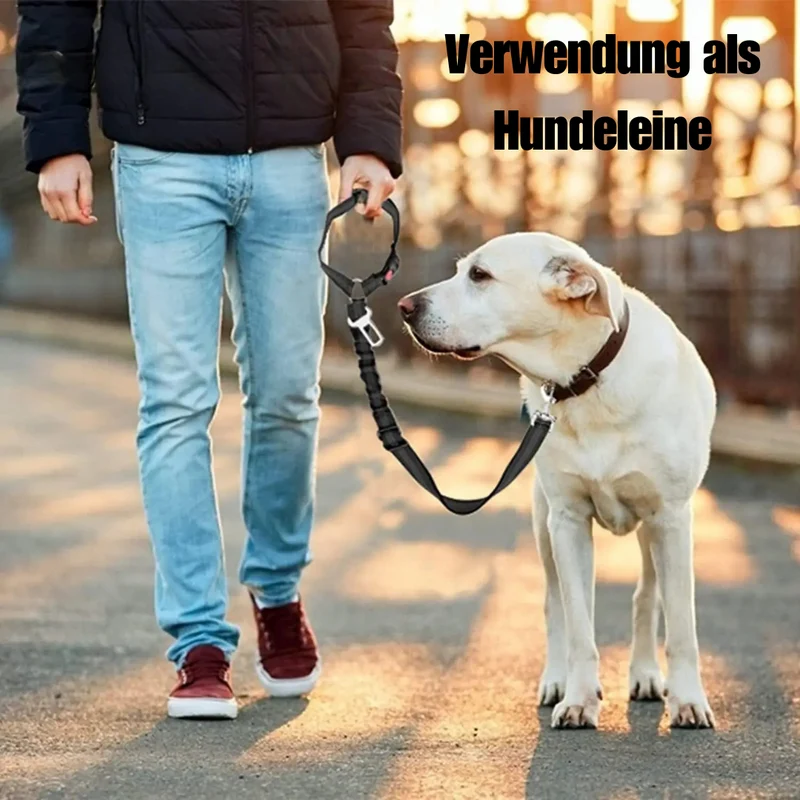 Reflektierendes 2-in-1 Hundegeschirr für Auto & Spaziergang