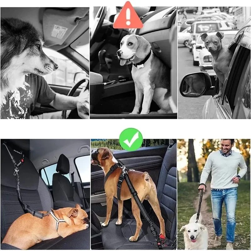 Reflektierendes 2-in-1 Hundegeschirr für Auto & Spaziergang