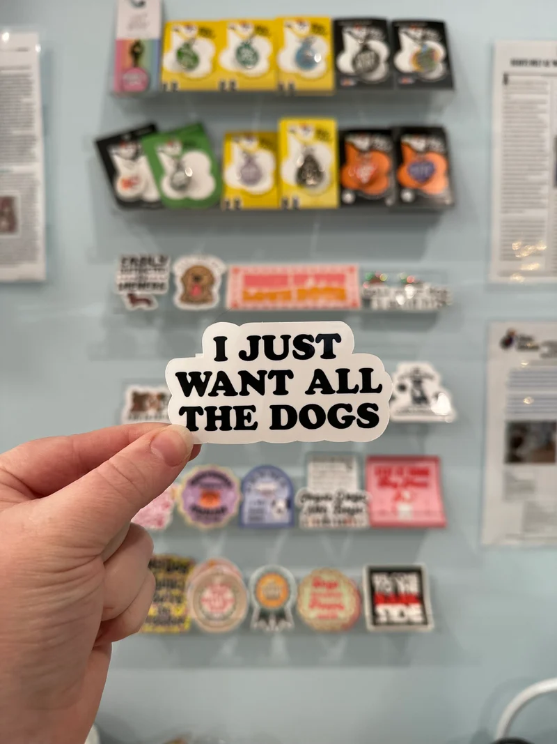 I Just Want All The Dogs