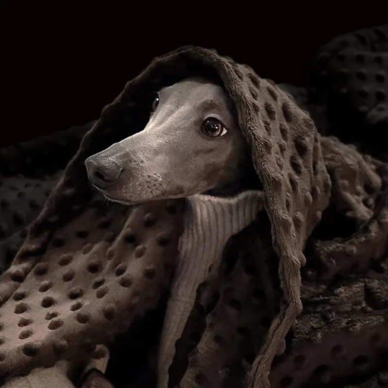 Hundedecke Cozilagi