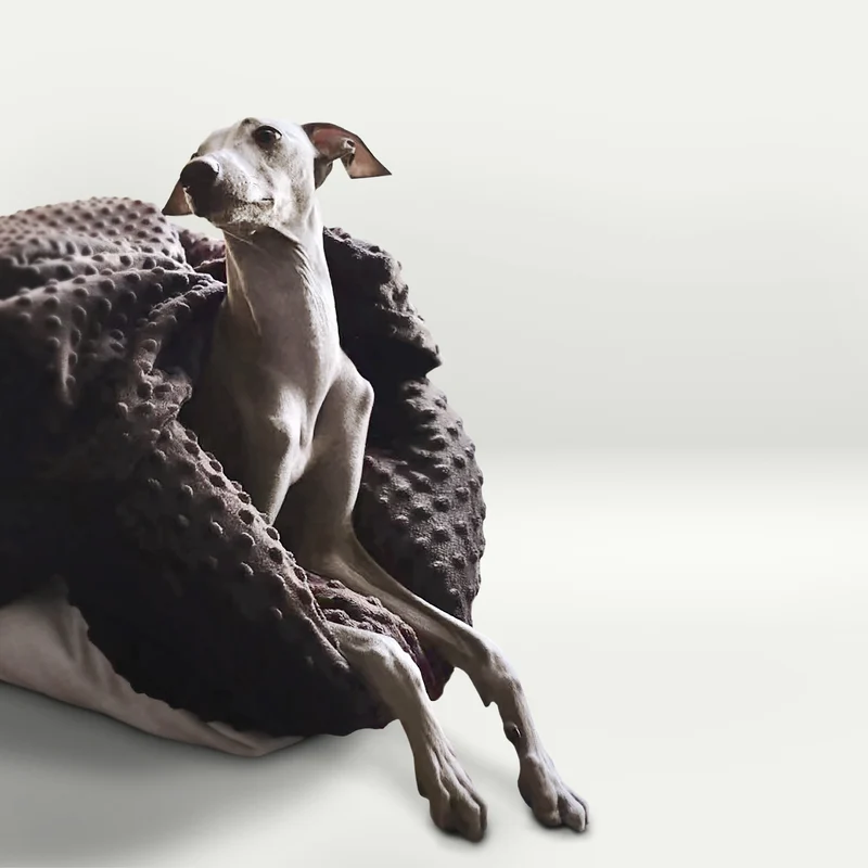 Hundedecke Cozilagi