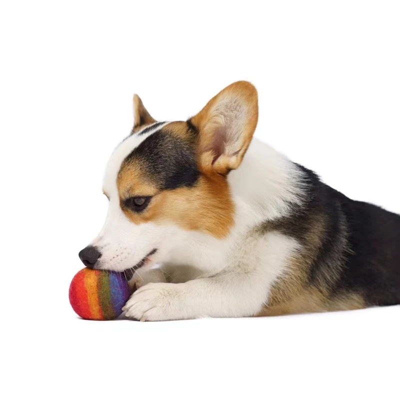 Hunde- und Katzenspielzeug - Filzball