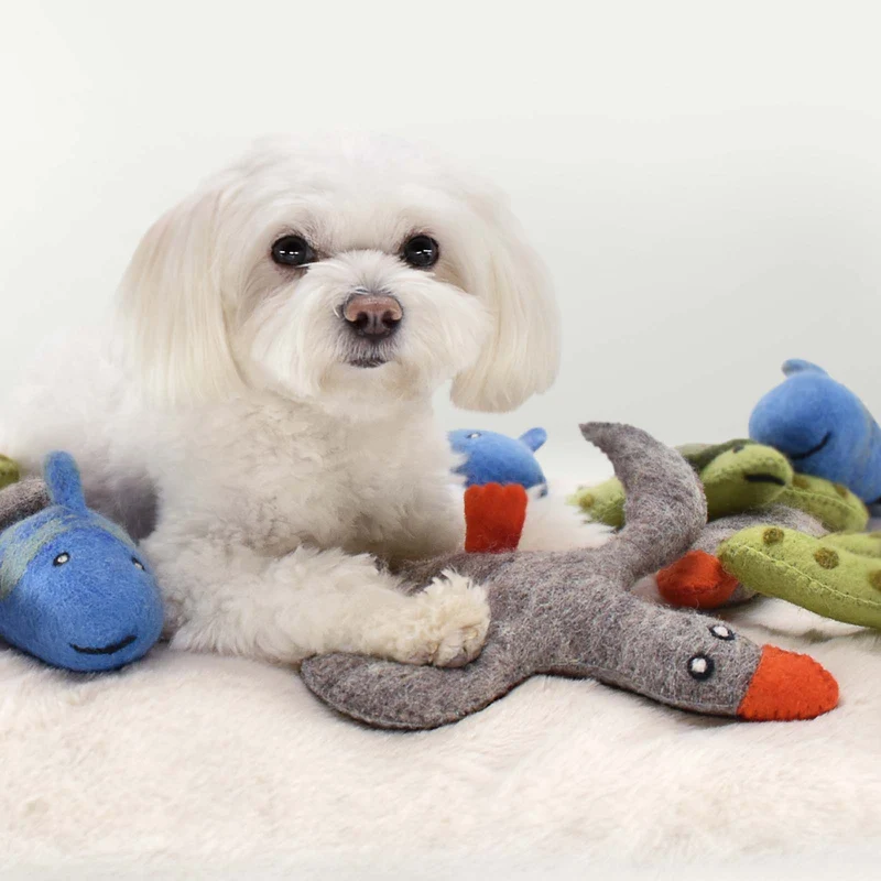 Hundespielzeug - Fisch Yoko