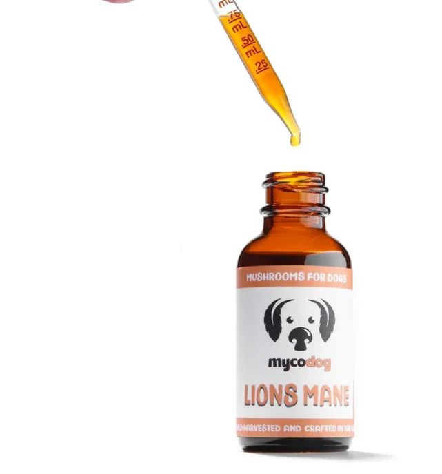 MycoDog Lion's Mane