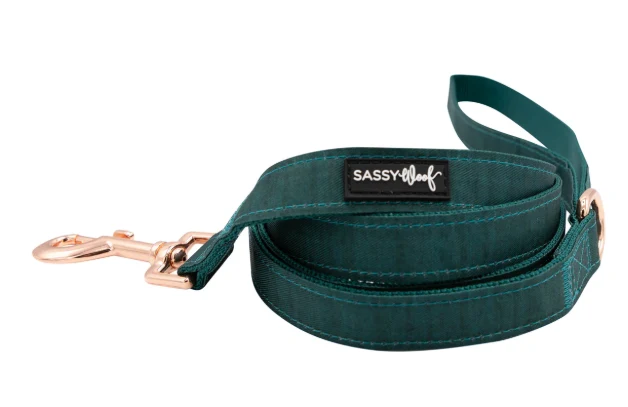 Forest Leash