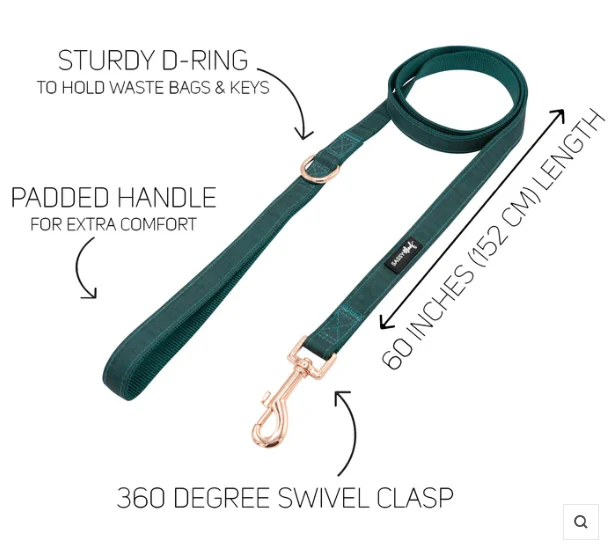 Forest Leash