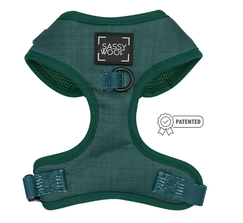 Forest Harness