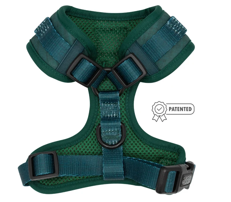 Forest Harness