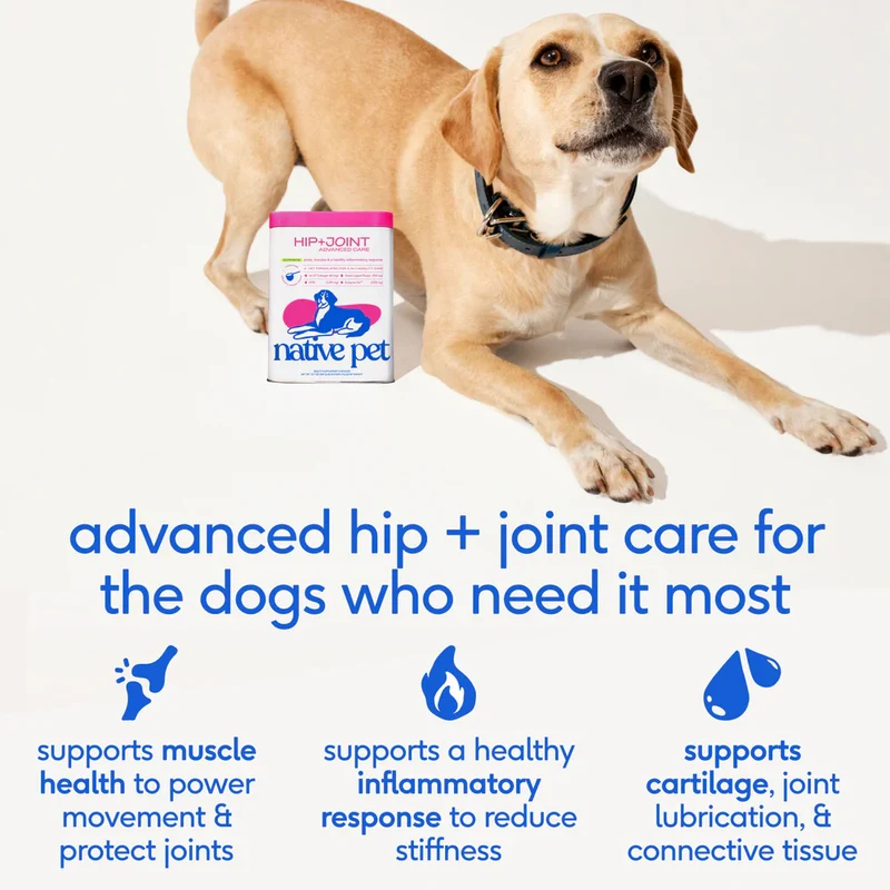 Native Pet Hip & Joint