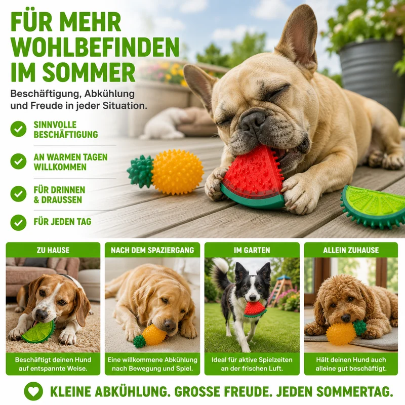 Gefrierbares Hundespielzeug im Frucht-Design