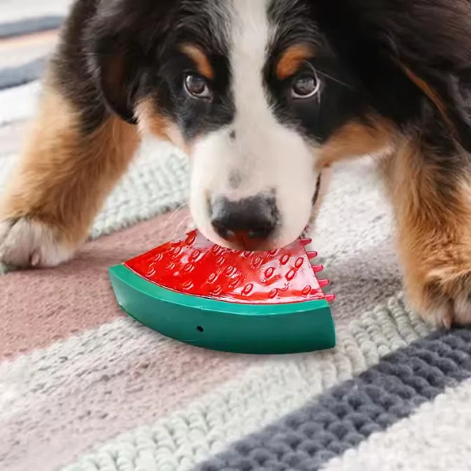 Gefrierbares Hundespielzeug im Frucht-Design