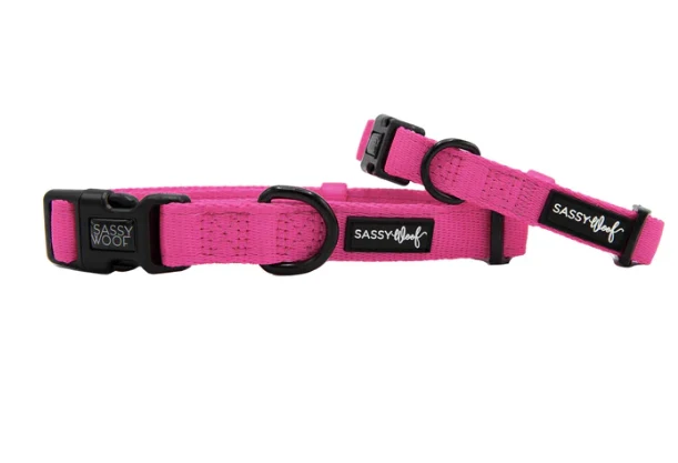 Neon Pink Collar