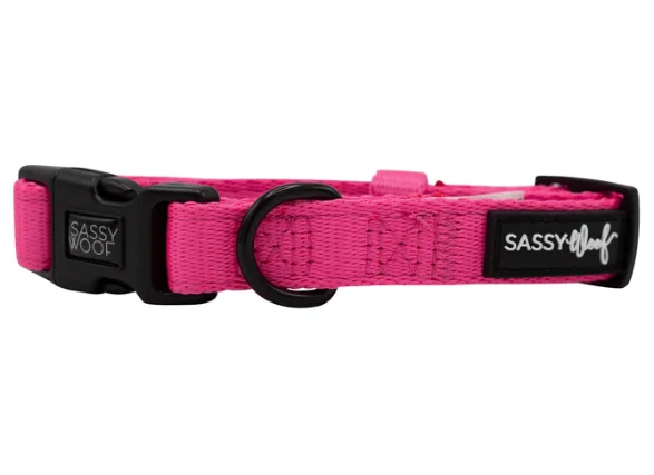 Neon Pink Collar
