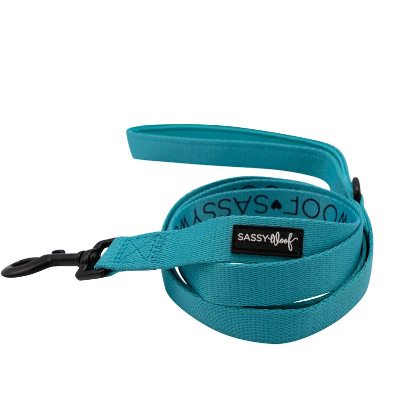 Neon Blue Leash