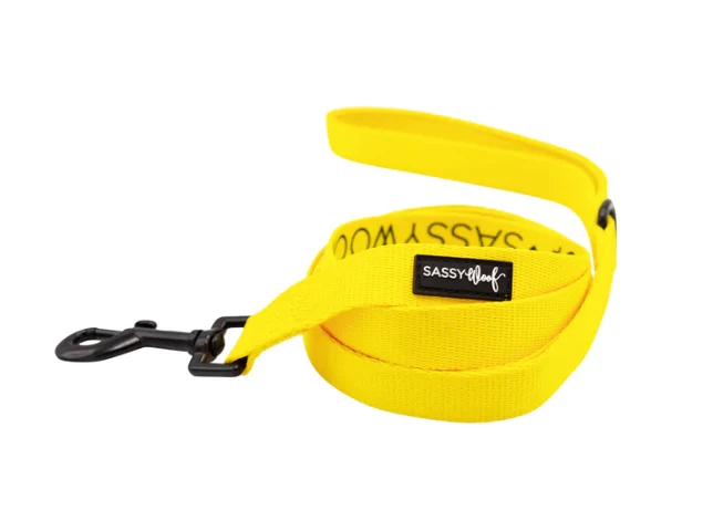 Neon Yellow Leash