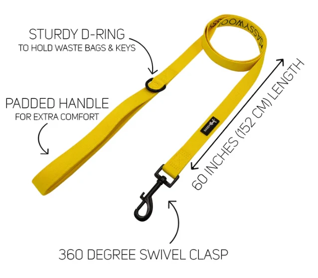 Neon Yellow Leash