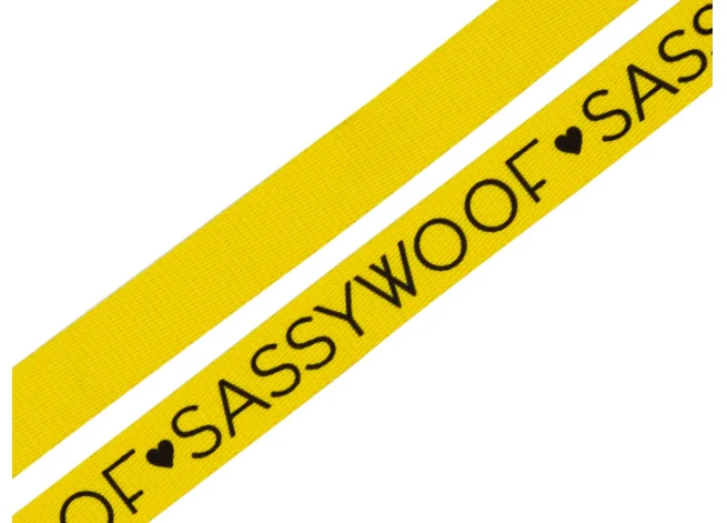 Neon Yellow Leash