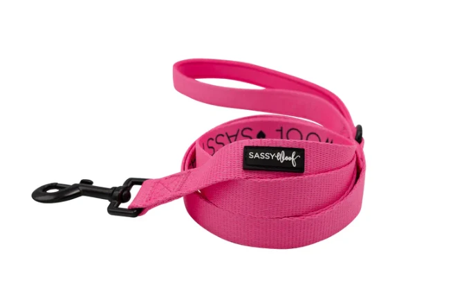 Neon Pink Leash